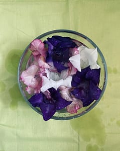 Manchas de agua sobre flores, simbolizando la delicadeza del suelo pélvico y la gestión de la incontinencia urinaria