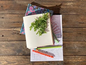 Registro del ciclo menstrual femenino con diario menstrual