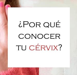 Anatomía femenina: cérvix y sus dimensiones