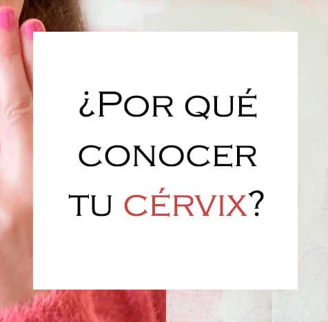 Anatomía femenina: cérvix y sus dimensiones