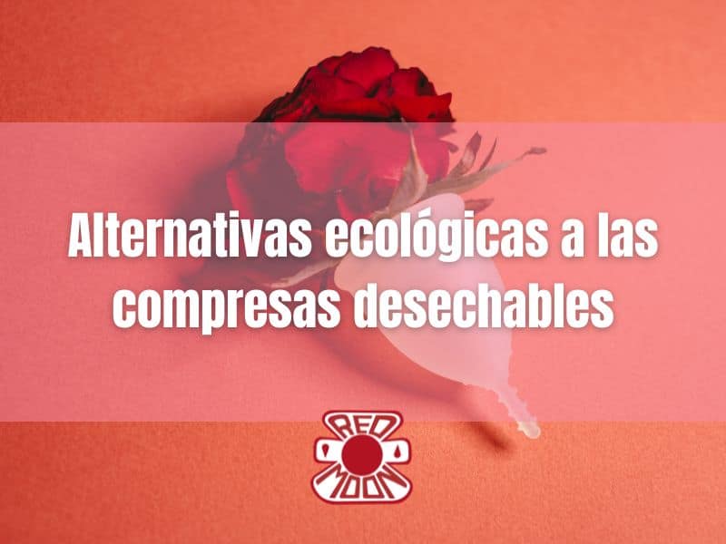 Copa menstrual y otras alternativas ecológicas para la menstruación sostenible